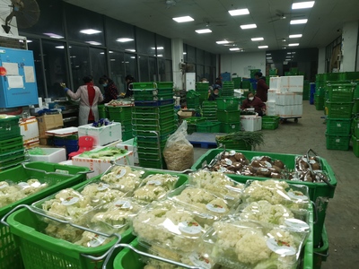 凌晨的繁忙 200噸“菜籃子”高效分揀發運長沙各大商超