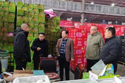 新疆巴州開展“庫爾勒香梨”跨區域知識產權保護聯合執法行動