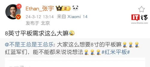 小米8英寸小平板市場調研與開發(fā)前景分析